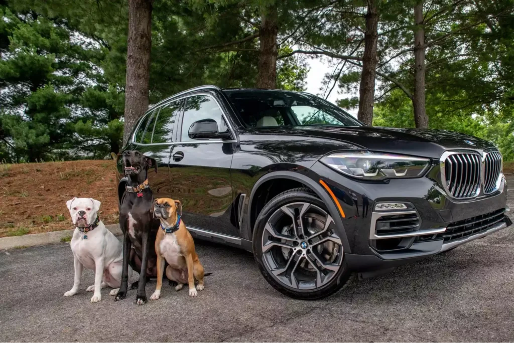 bmw x5 dog seat cover