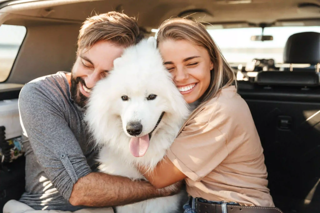 vacuum for dog hair in car