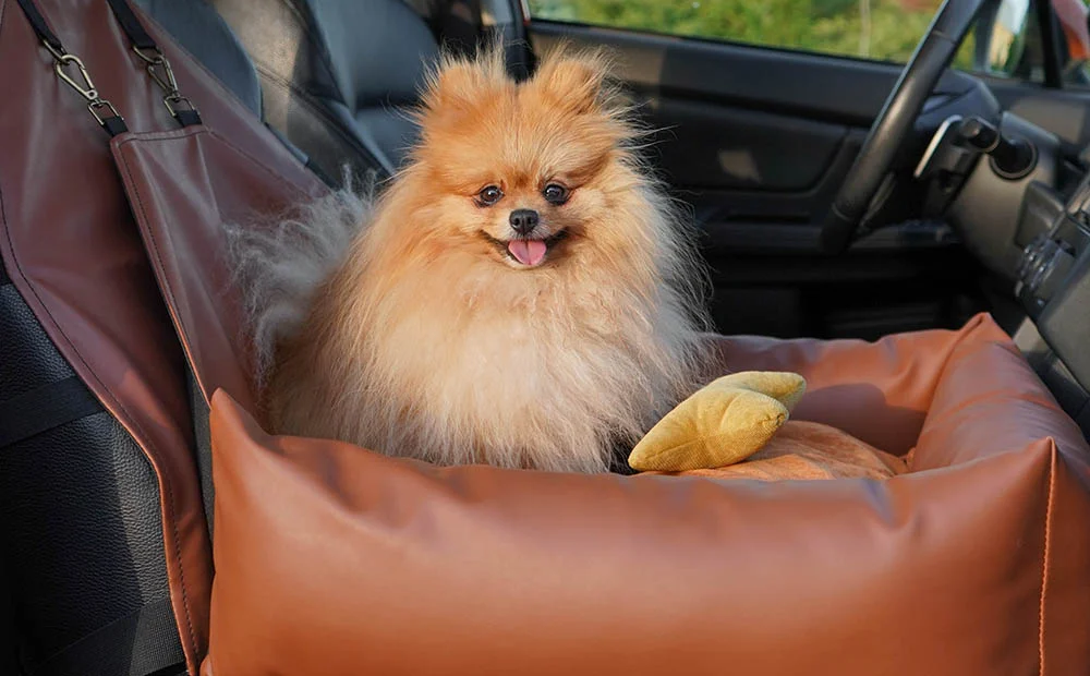 dog car seat for convertible