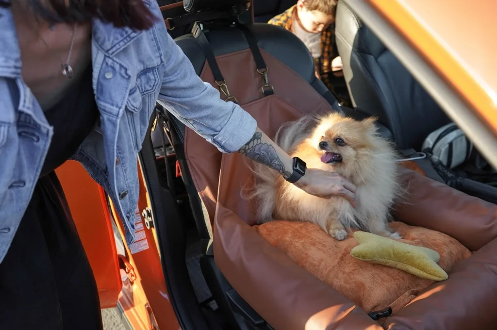 extra small dog car seat