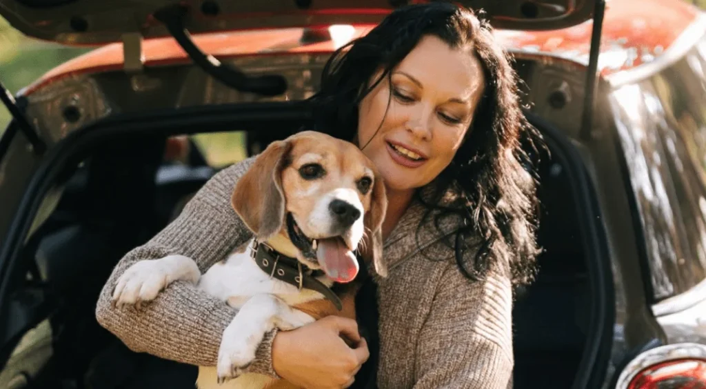 dog car seat belt