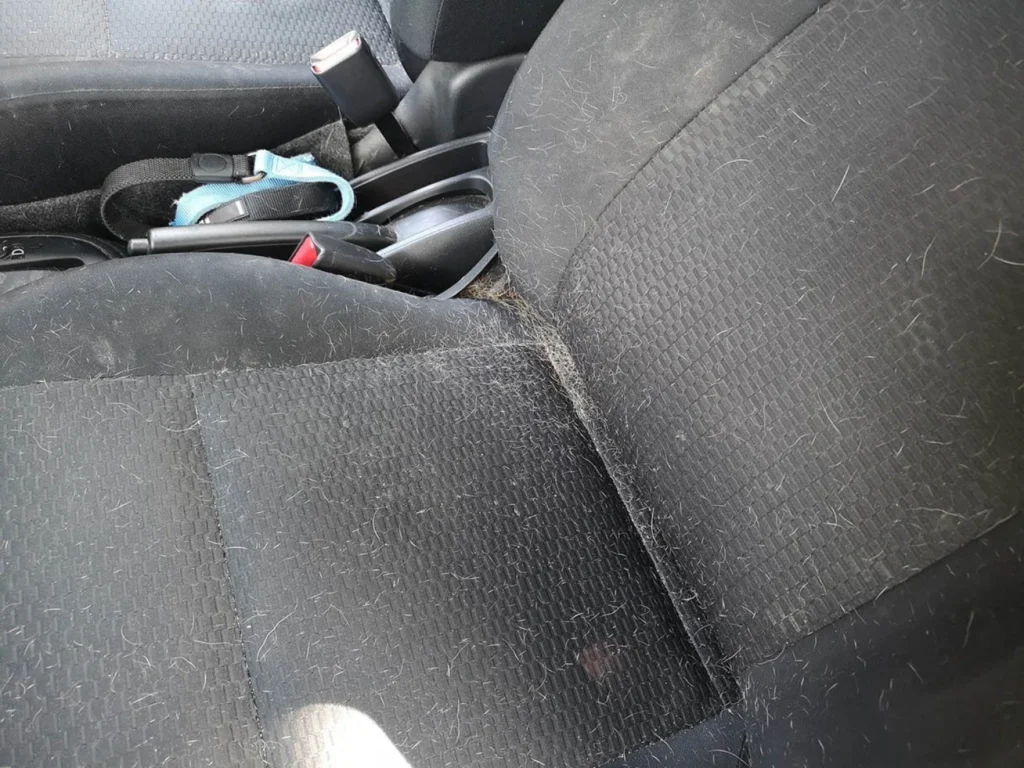 vacuum for dog hair in car