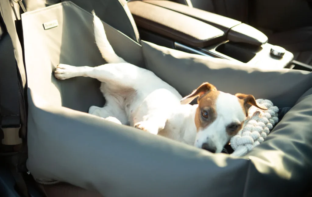 extra small dog car seat